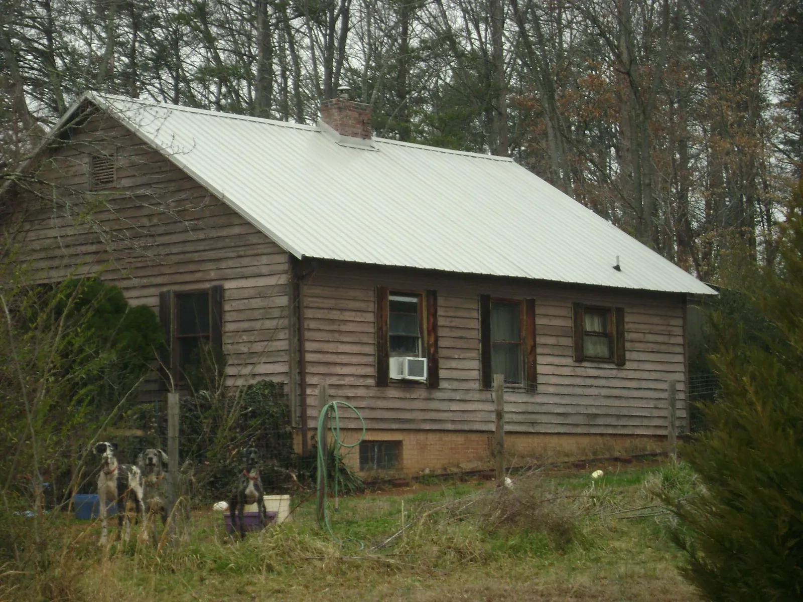 White metal roof on an old wood sided farmhouse, from a Asphalt Shingle Roof Repair job in Lomira